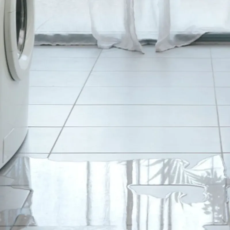 Appliance Leak Cleanup in Wapakoneta, OH