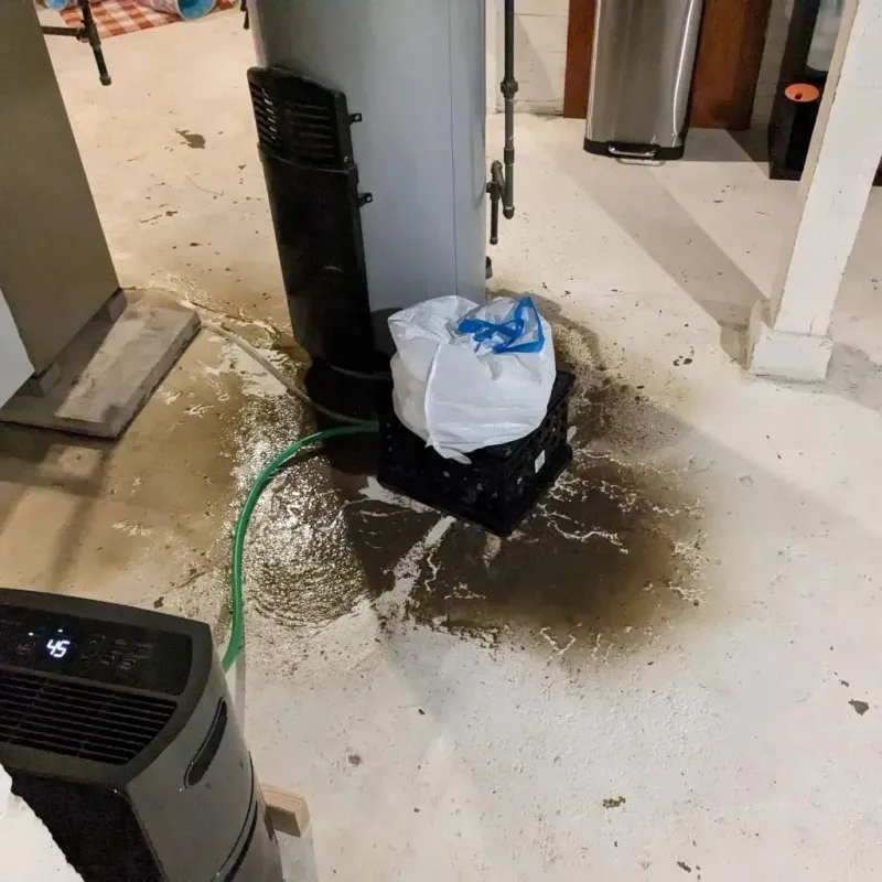 Sewage Backup Cleanup Service in Wapakoneta, OH